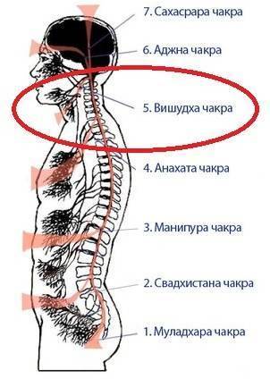 какую чакру блокирует страх. %D0%B2%D0%B8%D1%88%D1%83%D0%B4%D1%85%D0%B0. какую чакру блокирует страх фото. какую чакру блокирует страх-%D0%B2%D0%B8%D1%88%D1%83%D0%B4%D1%85%D0%B0. картинка какую чакру блокирует страх. картинка %D0%B2%D0%B8%D1%88%D1%83%D0%B4%D1%85%D0%B0. Скажите, кто из нас, потребляя ароматный кусок поджаренного мяса или свежую котлету, задумывался над тем, а хватит ли в организме кислоты и щелочи это все переработать? Кислотно-щелочной баланс, как выяснили в нашем веке ученые, и есть главное, от чего зависит, насколько человек будет здоров, бодр и весел. На упаковке почти любого продукта питания Вы можете найти информацию о том, сколько в нем содержится белков, жиров и углеводов и какова энергетическая ценность 100 г этой пищи.