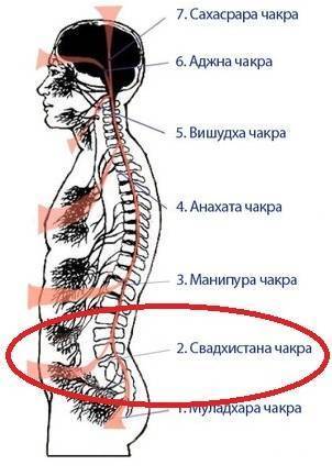 какую чакру блокирует страх. %D1%81%D0%B2%D0%B0%D0%B4%D1%85%D0%B8%D1%81%D1%82%D0%B0%D0%BD%D0%B0. какую чакру блокирует страх фото. какую чакру блокирует страх-%D1%81%D0%B2%D0%B0%D0%B4%D1%85%D0%B8%D1%81%D1%82%D0%B0%D0%BD%D0%B0. картинка какую чакру блокирует страх. картинка %D1%81%D0%B2%D0%B0%D0%B4%D1%85%D0%B8%D1%81%D1%82%D0%B0%D0%BD%D0%B0. Скажите, кто из нас, потребляя ароматный кусок поджаренного мяса или свежую котлету, задумывался над тем, а хватит ли в организме кислоты и щелочи это все переработать? Кислотно-щелочной баланс, как выяснили в нашем веке ученые, и есть главное, от чего зависит, насколько человек будет здоров, бодр и весел. На упаковке почти любого продукта питания Вы можете найти информацию о том, сколько в нем содержится белков, жиров и углеводов и какова энергетическая ценность 100 г этой пищи.